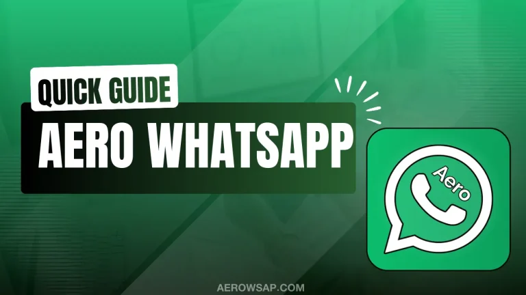Aero WhatsApp 10.90 Quick Guide